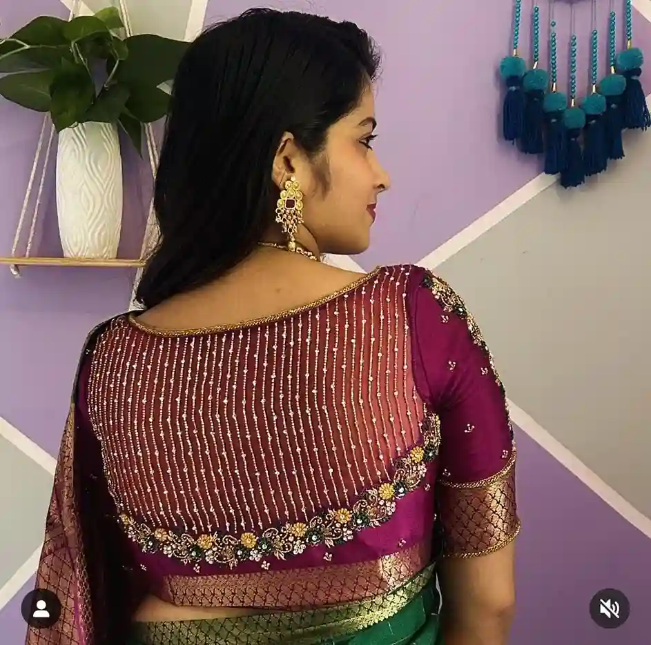 Modern Net Blouse Back Designs