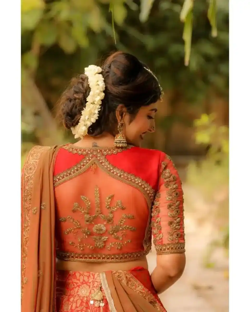 Net back blouse design 2025