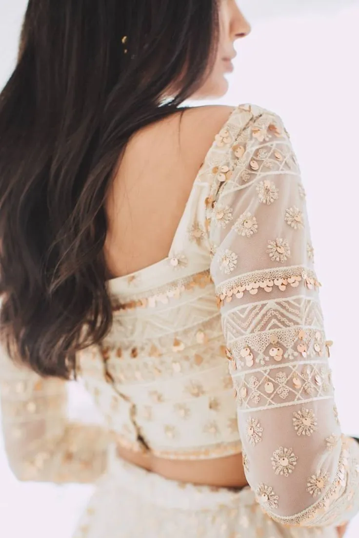 Transparent Net Back Blouse Designs