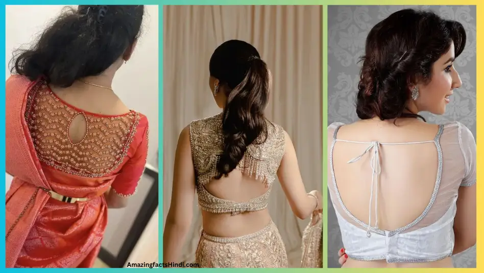 Amazing Net Blouse Design Back Side Ideas
