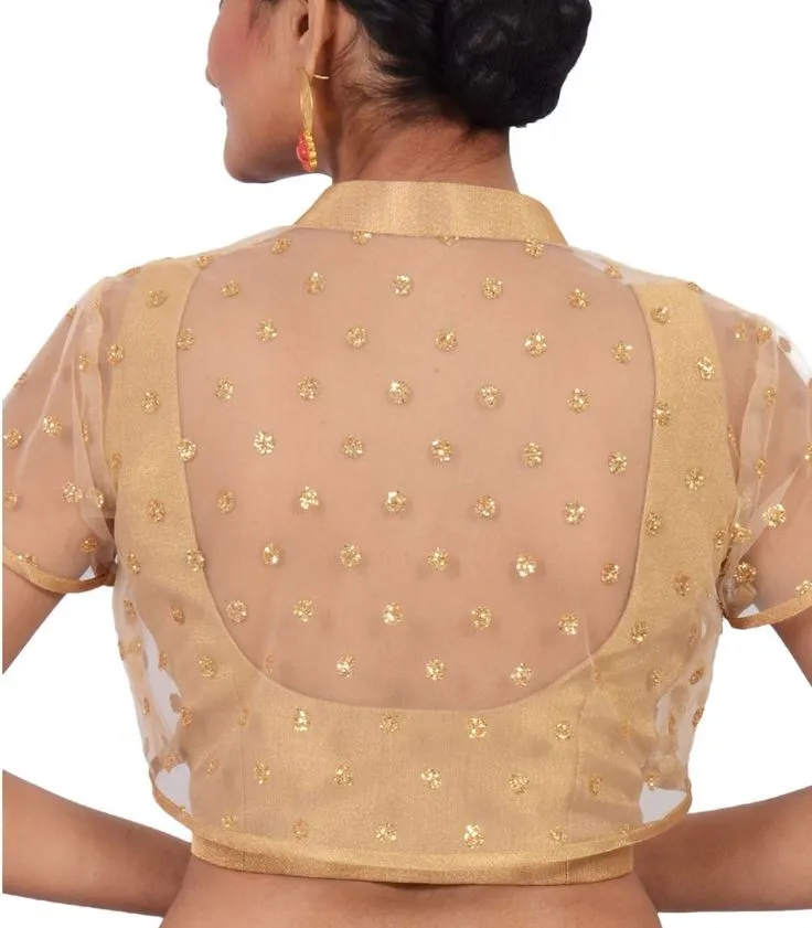 Back net blouse designs