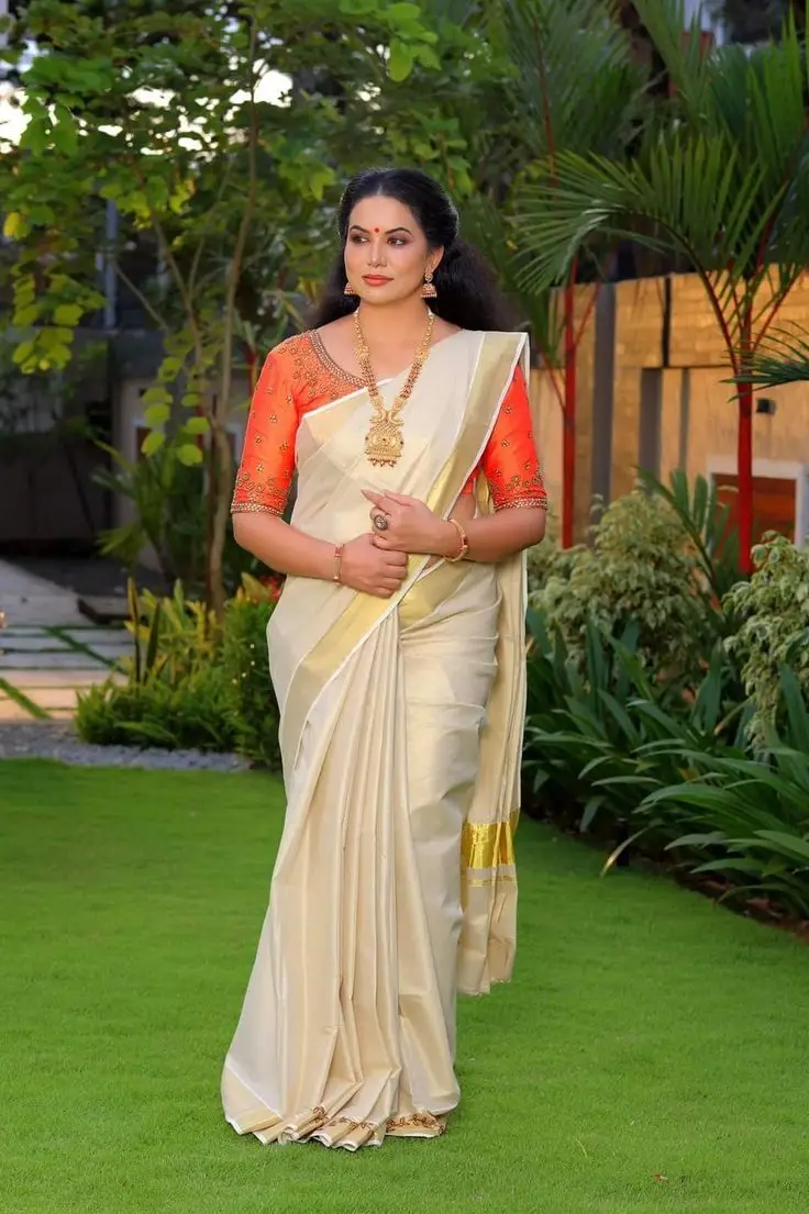 Kerala net saree designs