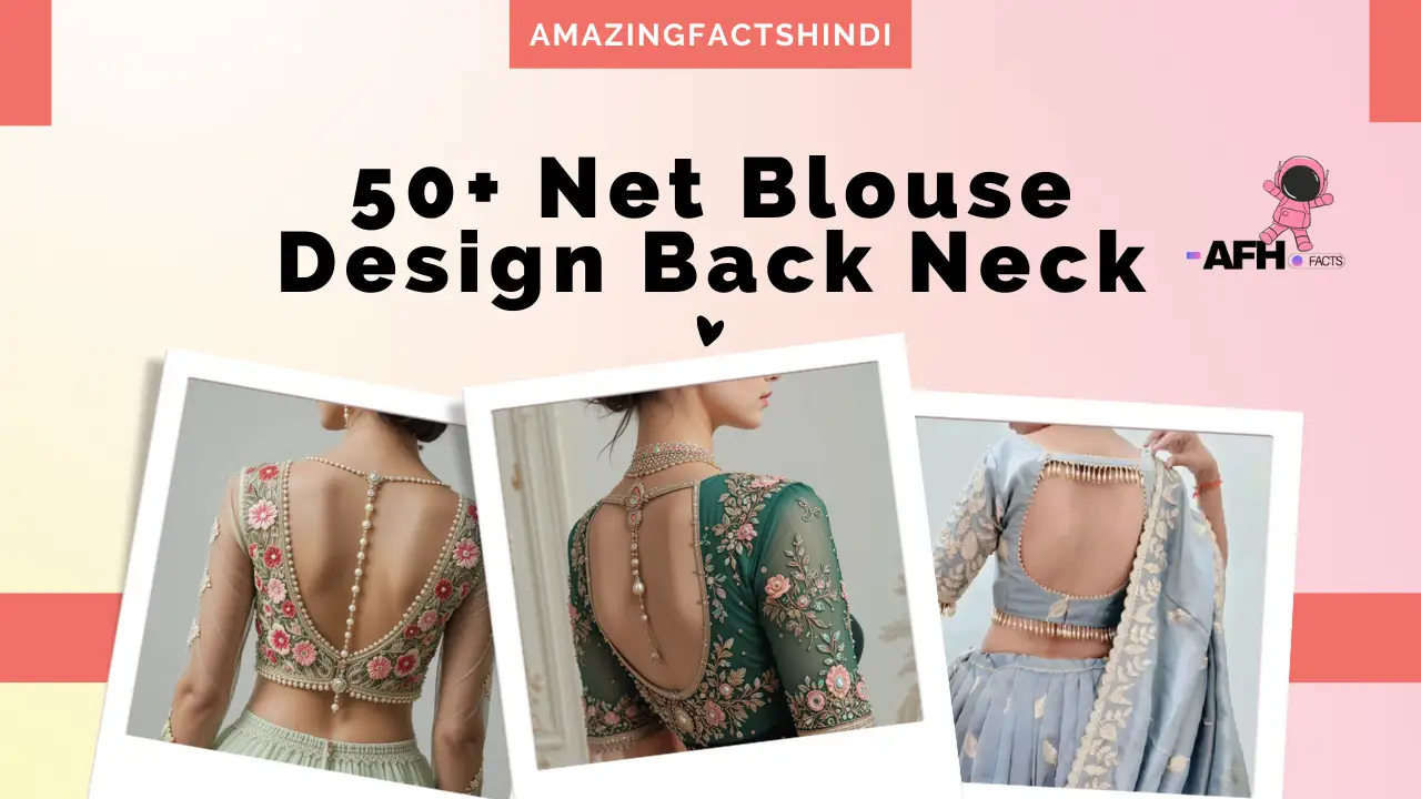 Lovely 50 Trending Net Blouse Design Back Neck Real Photos