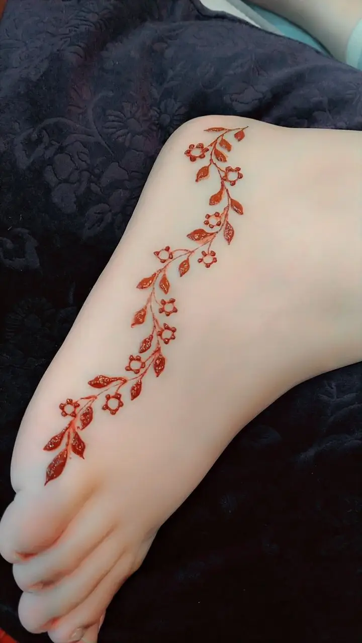 Modern Parani designs