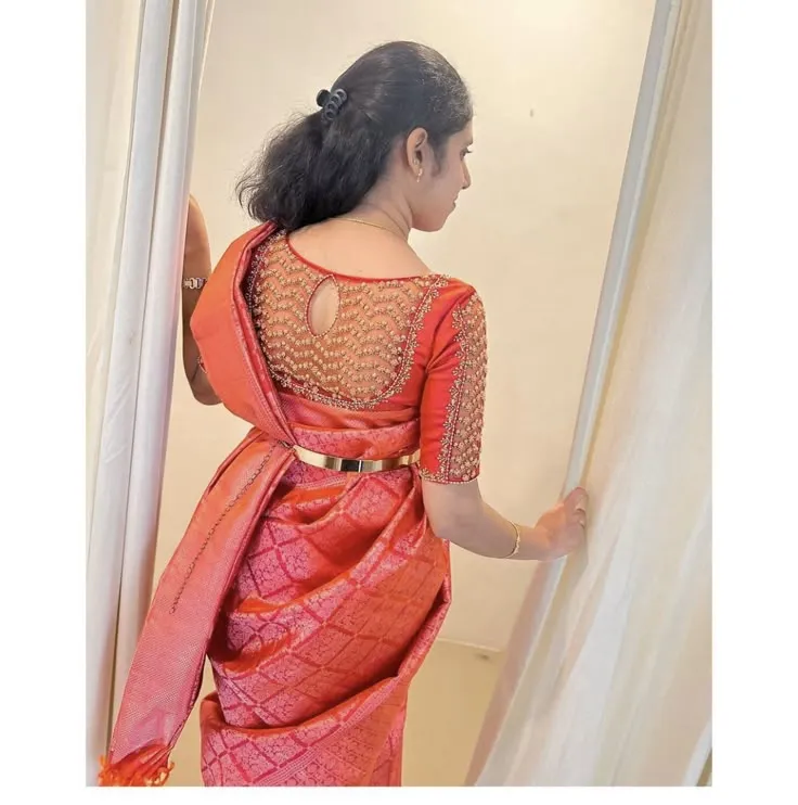 Sheer Elegance Full Net Back Neck Blouse Designs