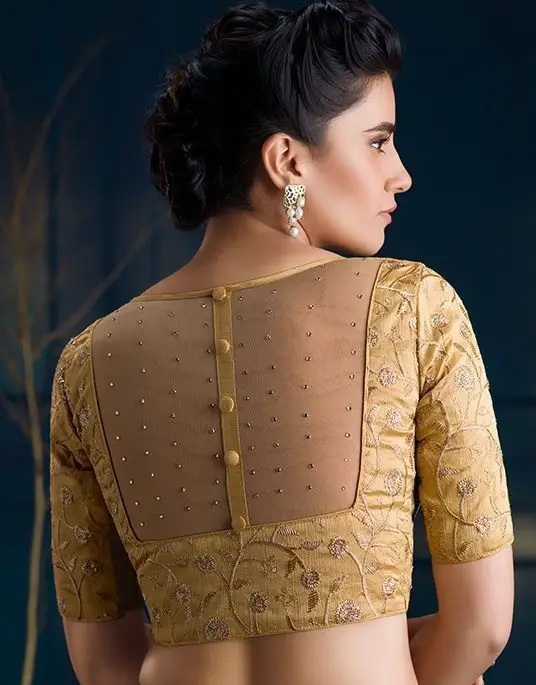 back side net blouse design