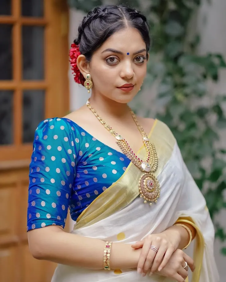 gold border saree blouse designs