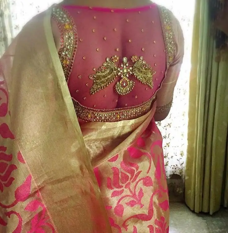 net blouse back design