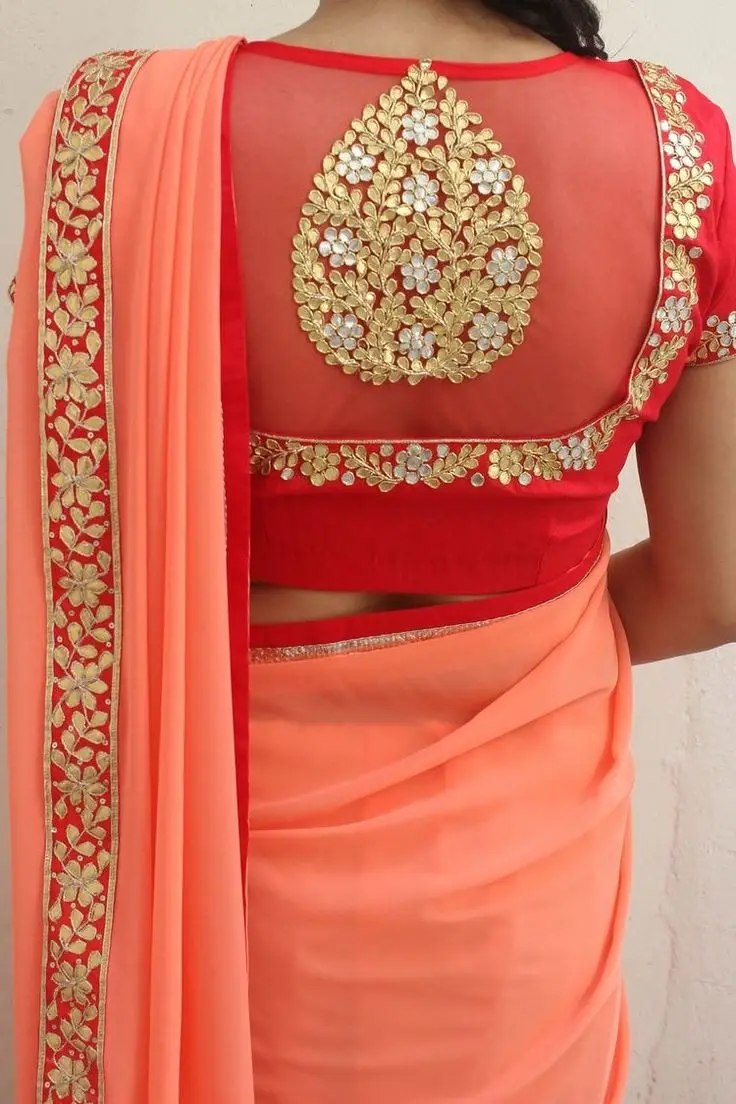 new back neck net blouse design
