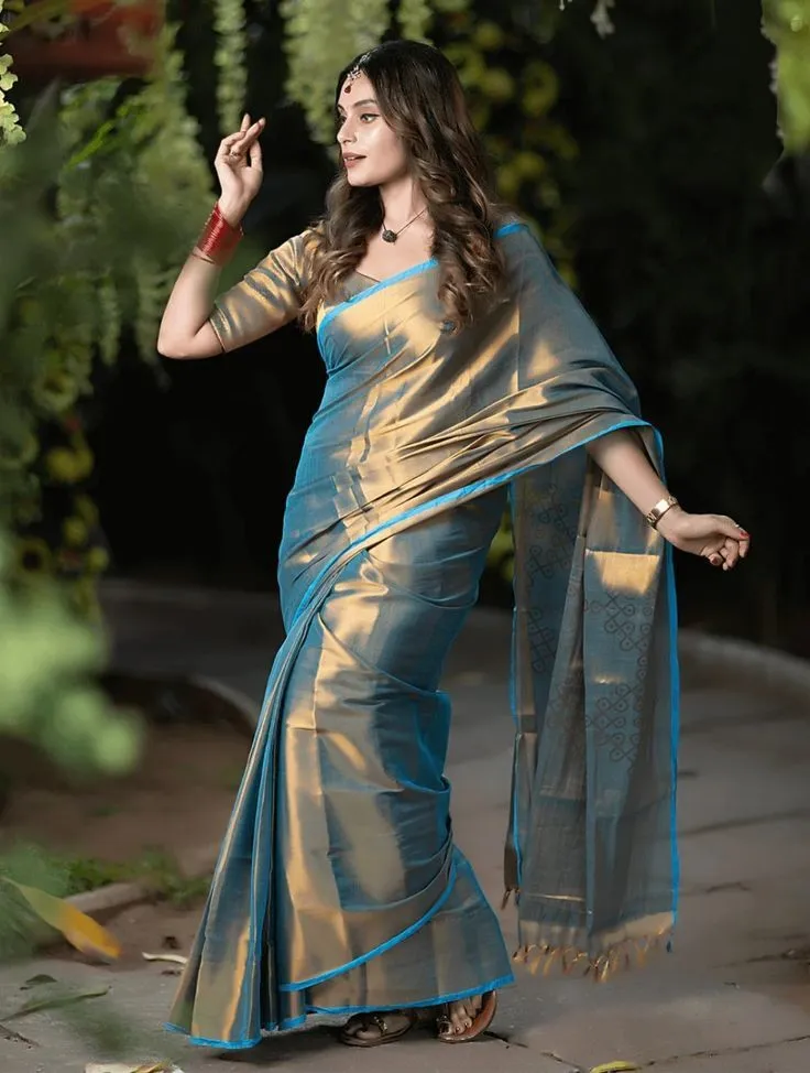 Chikankari formal saree blouses