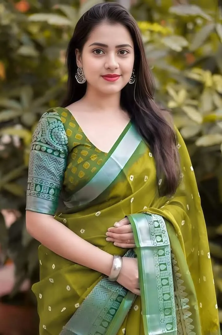 Minimalist saree blouse patterns