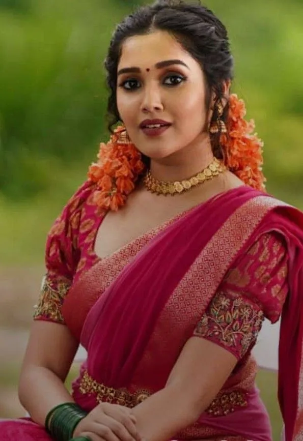 Net saree blouse with embroidery