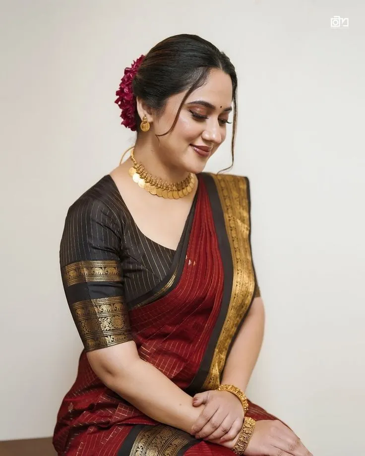 Temple border blouse designs