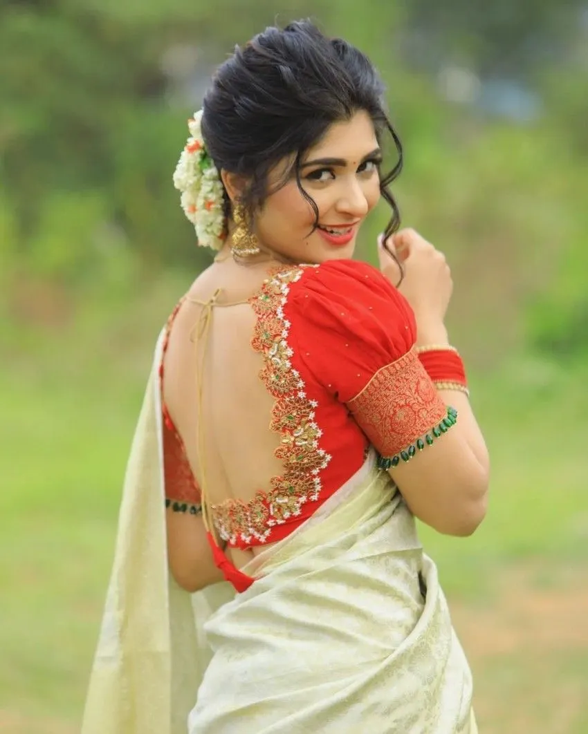 Victorian collar saree blouse