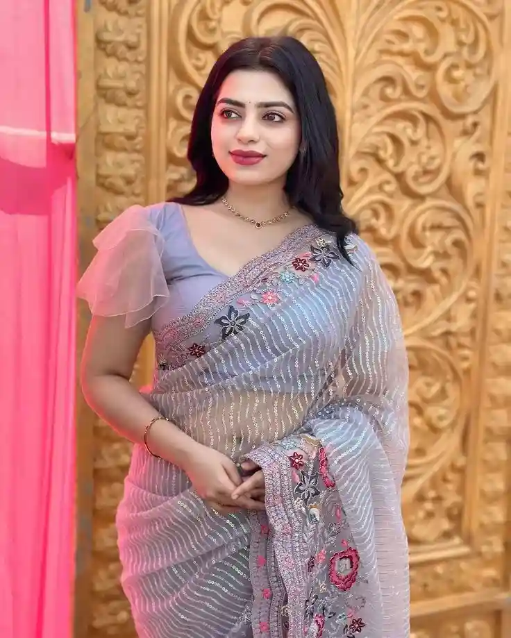 Blouse Designs For Netted Saree