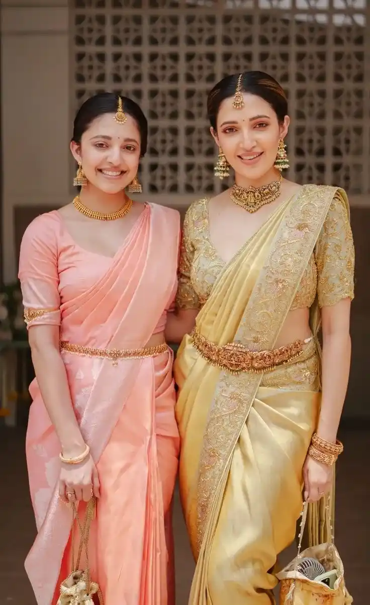 Bridal Pattu Blouse Designs