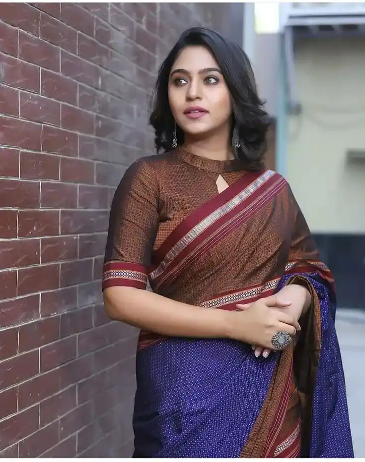Halter Neck Pattu Blouse Design