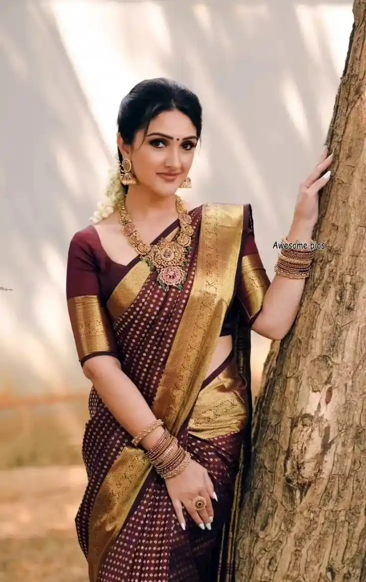 Heavy Work Pattu Saree Blouse