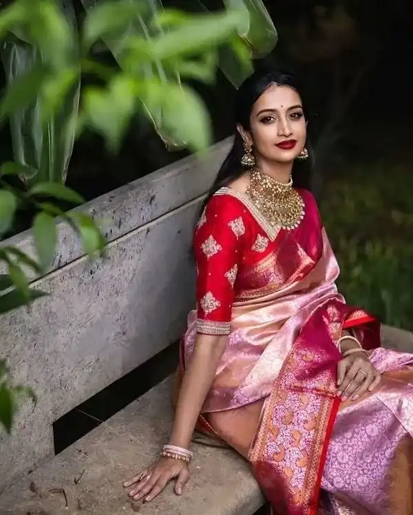 Latest Pattu Blouse Design Images