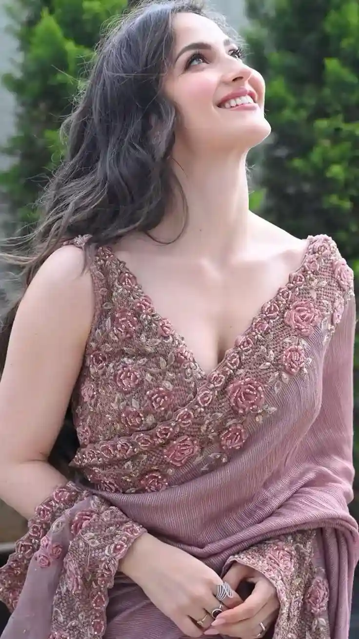 Net Saree Blouse Model