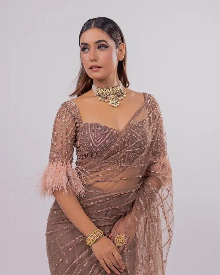 Netted Blouse Designs For Silk Sarees