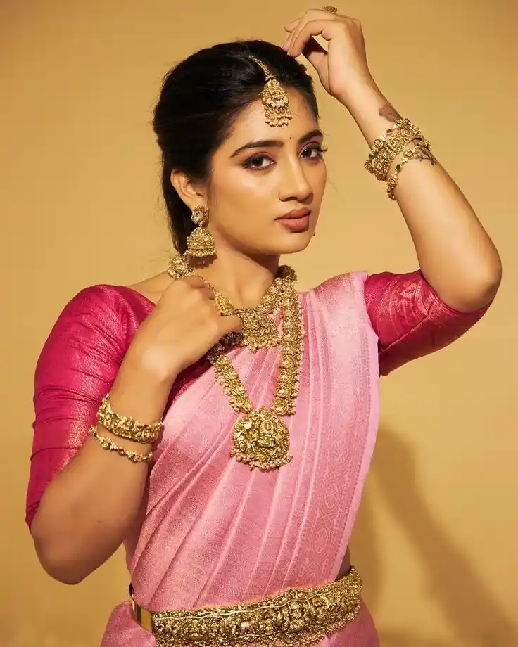 Party Wear Banarasi Saree Blouse Design