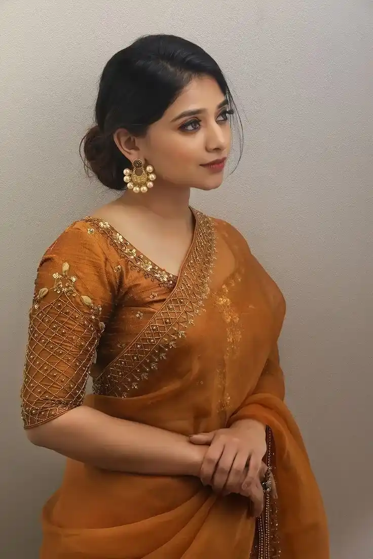 Pattu Blouse Round Neck Design