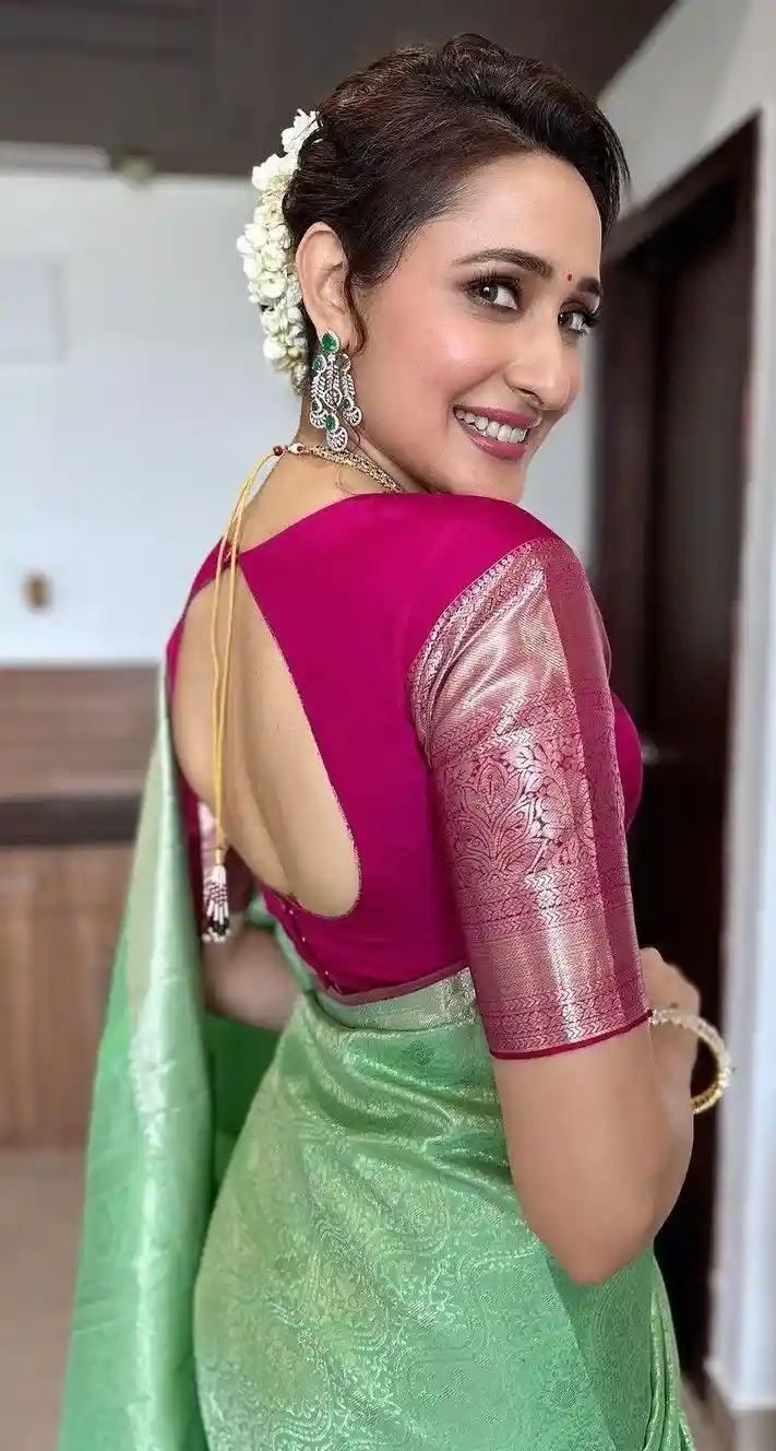 Pattu Saree Boat Neck Blouse Designs