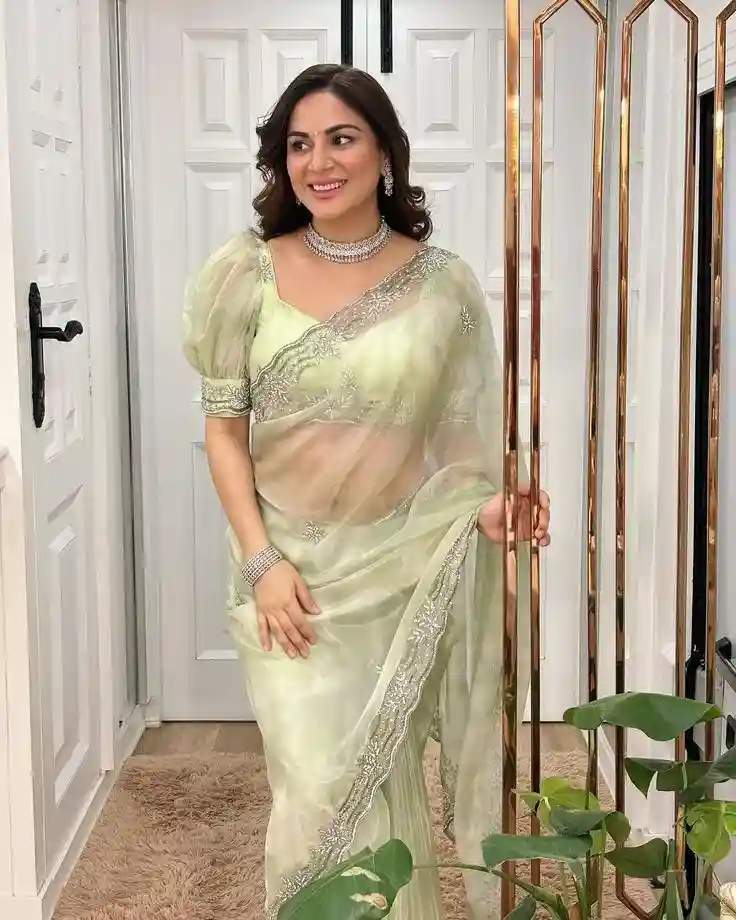 Reception net blouse designs with pearls