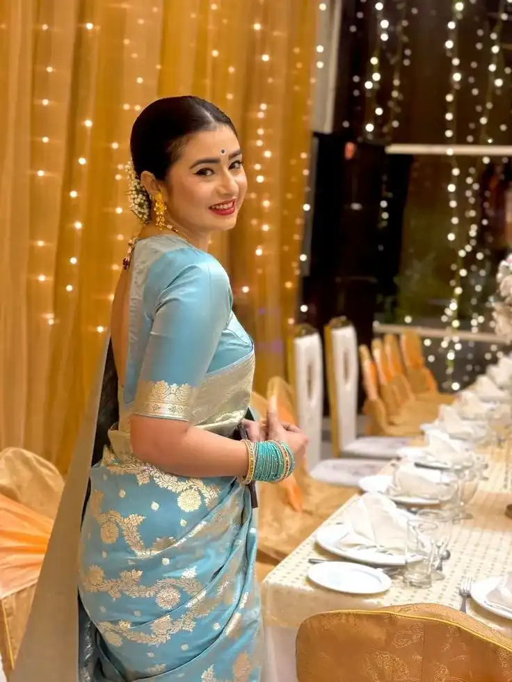 What Blouse Design With Pattu Saree