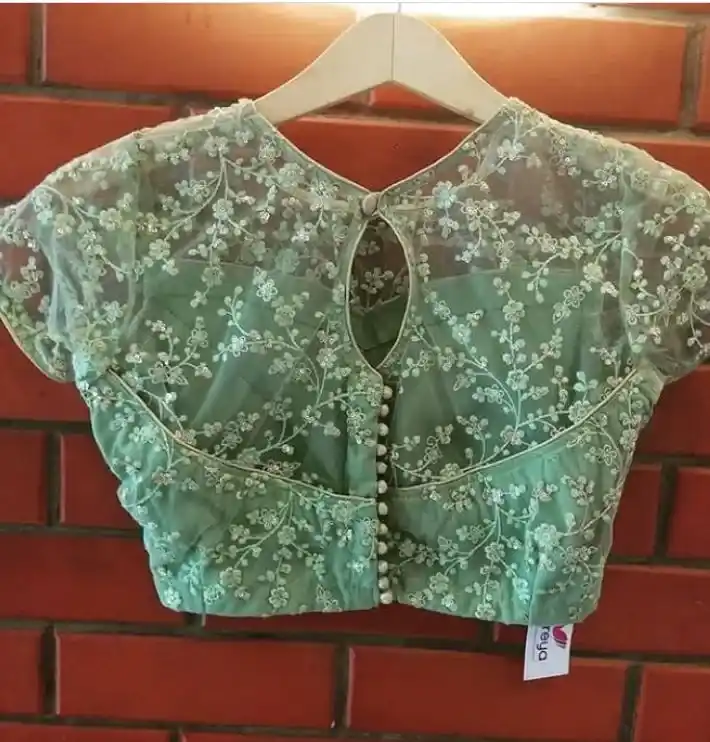 Modern Net Blouse Back Side Designs