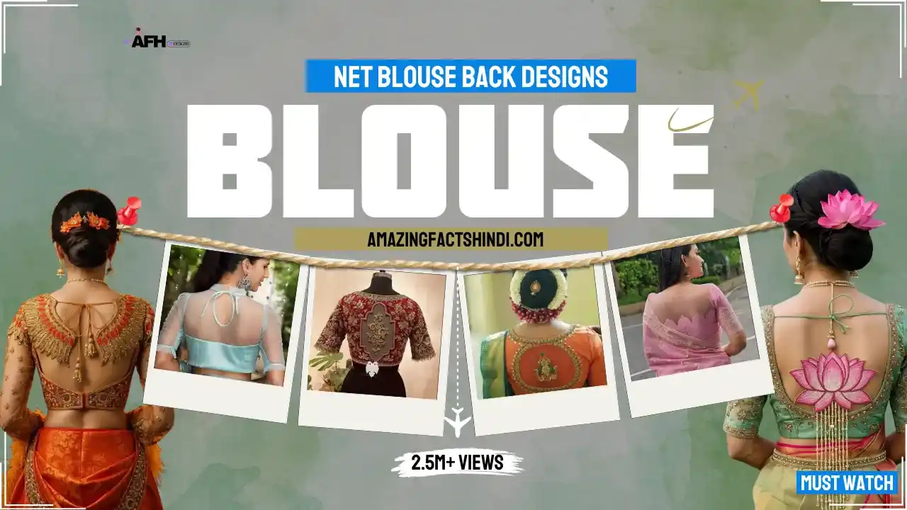 Net Blouse Back Design