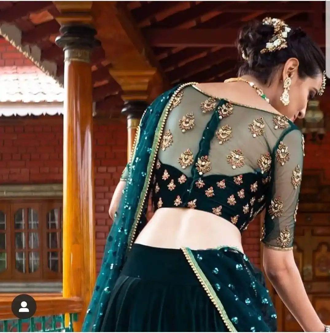 Net Blouse Design Back Neck